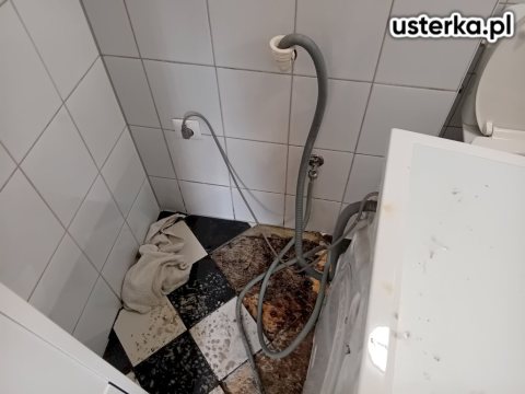 Wycieki ukryte w ścianie i podłodze — Chorzów, zdjęcie z wizyty