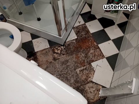 Wycieki ukryte w ścianie i podłodze — Chorzów, zdjęcie 3 z wizyty