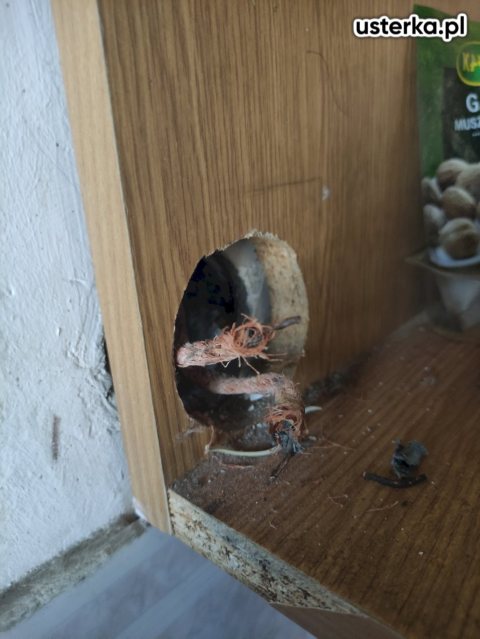 Drobne usterki elektryczne — Warszawa, zdjęcie z wizyty