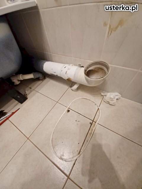 Wymiana/montaż muszli i umywalek — Gdańsk, zdjęcie z wizyty