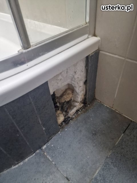 Wycieki ukryte w ścianie i podłodze — Poznań, zdjęcie 3 z wizyty