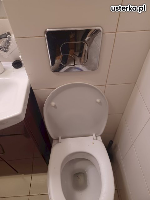 Serwis zaworów, syfonów, spłuczek — Gdańsk, zdjęcie z wizyty
