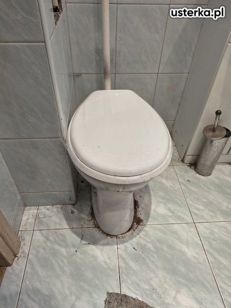 Serwis zaworów, syfonów, spłuczek — Kraków, zdjęcie z wizyty
