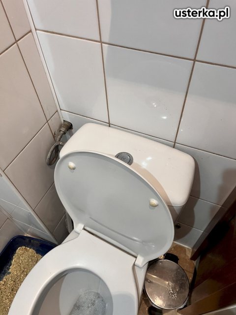 Serwis zaworów, syfonów, spłuczek — Kraków, zdjęcie z wizyty