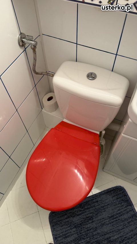 Serwis zaworów, syfonów, spłuczek — Łódź, zdjęcie 2 z wizyty