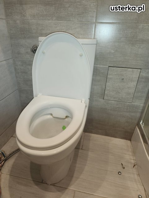 Wymiana/montaż muszli i umywalek — Warszawa, zdjęcie 2 z wizyty