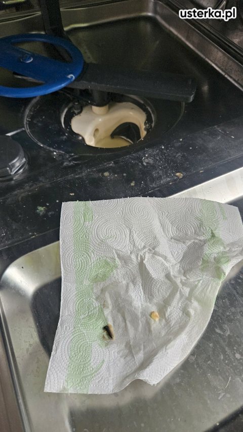 Naprawa zmywarek — Krzyżanowice, zdjęcie 2 z wizyty