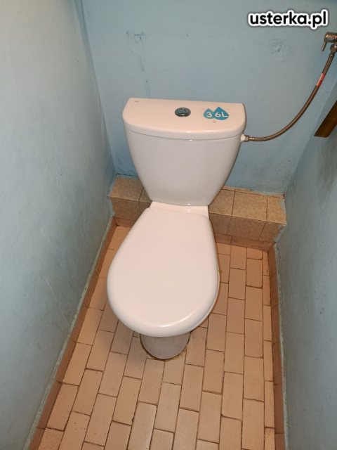 Wymiana/montaż muszli i umywalek — Wrocław, zdjęcie 2 z wizyty