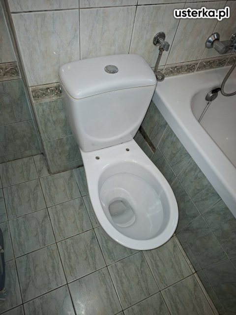 Wymiana/montaż muszli i umywalek — Kraków, zdjęcie 2 z wizyty