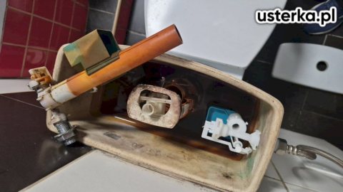 Wymiana/montaż muszli i umywalek — Mietków, zdjęcie 3 z wizyty