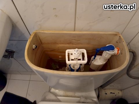 Serwis zaworów, syfonów, spłuczek — Rzeszów, zdjęcie z wizyty
