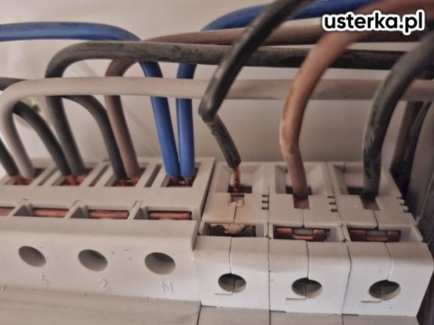 Elektryk — Warszawa, zdjęcie z wizyty