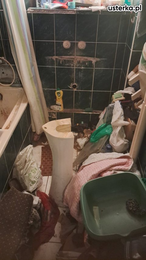 Serwis/montaż muszli i umywalek — Gdańsk, zdjęcie z wizyty