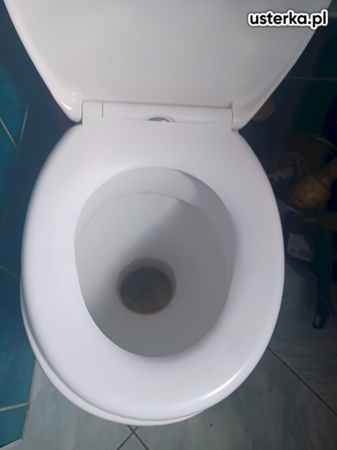 Serwis zaworów, syfonów, spłuczek — Gdańsk, zdjęcie z wizyty