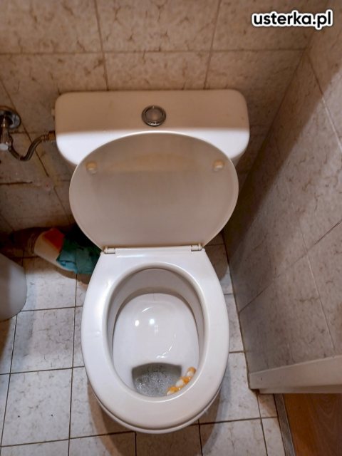Serwis zaworów, syfonów, spłuczek — Gdańsk, zdjęcie 2 z wizyty