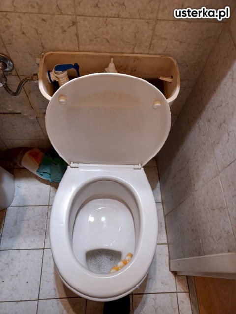 Serwis zaworów, syfonów, spłuczek — Gdańsk, zdjęcie 3 z wizyty