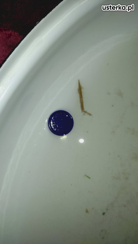 Naprawa pralek — Lesznowola, zdjęcie z wizyty