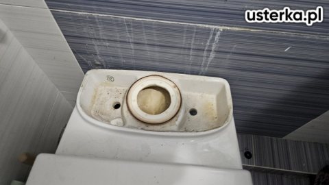 Serwis/montaż muszli i umywalek — Wrocław, zdjęcie z wizyty