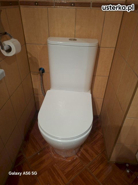 Serwis/montaż muszli i umywalek — Bolechowice, zdjęcie z wizyty