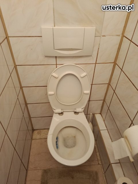 Serwis zaworów, syfonów, spłuczek — Wrocław, zdjęcie z wizyty