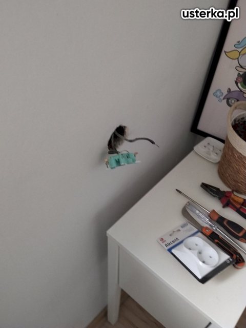 Drobne usterki elektryczne — Warszawa, zdjęcie 3 z wizyty