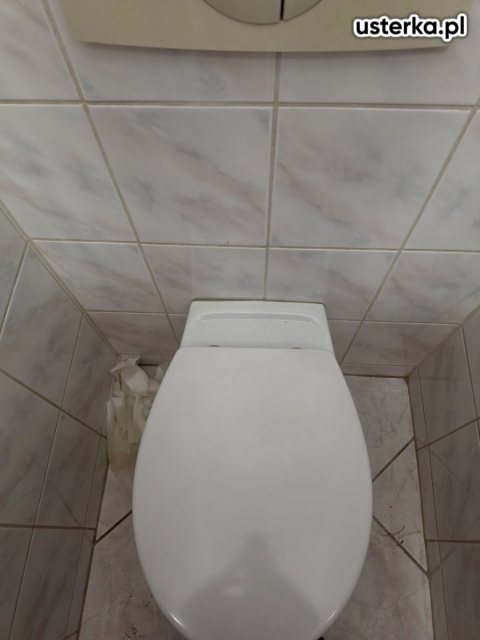 Wycieki ukryte w ścianie i podłodze — Wrocław, zdjęcie z wizyty