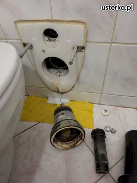 Wycieki ukryte w ścianie i podłodze — Wrocław, zdjęcie 3 z wizyty