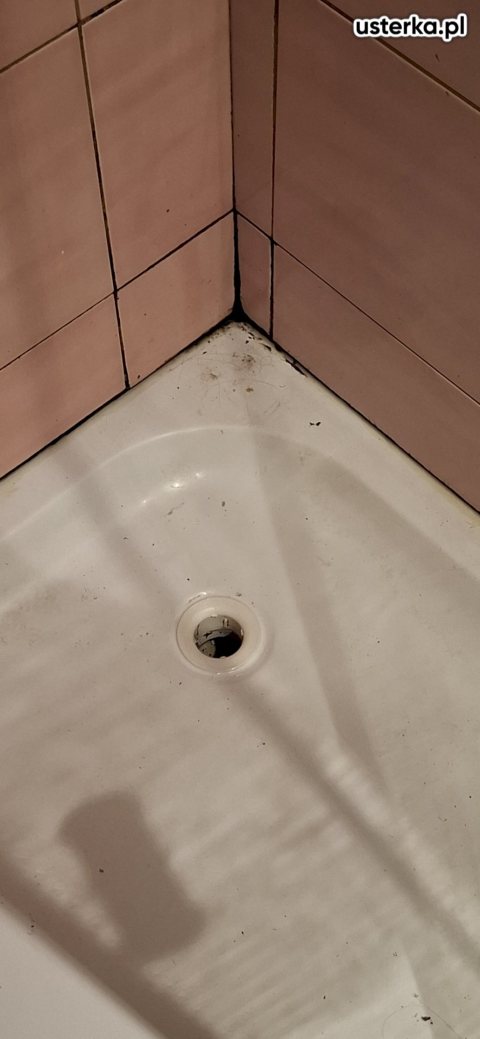 Wycieki ukryte w ścianie i podłodze — Chorzów, zdjęcie z wizyty
