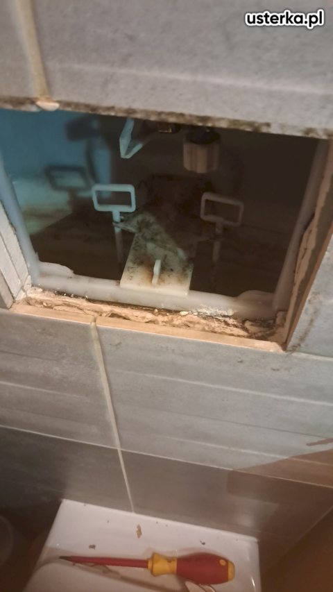 Serwis zaworów, syfonów, spłuczek — Gdańsk, zdjęcie z wizyty