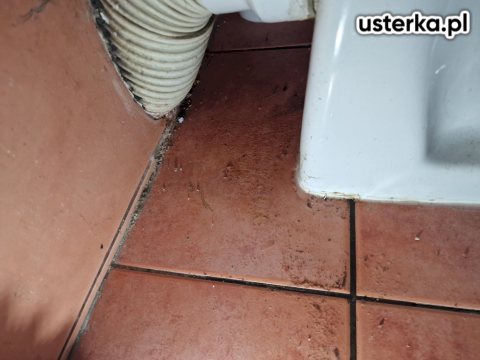 Udrażnianie rur — Poznań, zdjęcie z wizyty