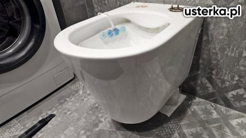 Serwis zaworów, syfonów, spłuczek — Wrocław, zdjęcie 3 z wizyty